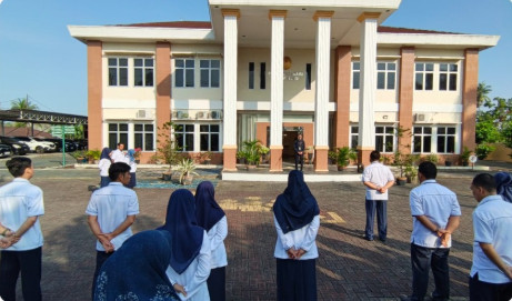 apel271